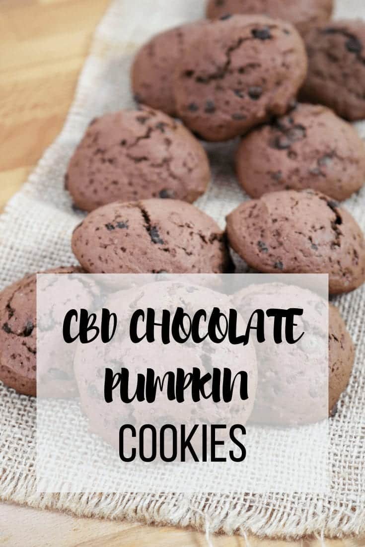 CBD Chocolate Pumpkin Cookies