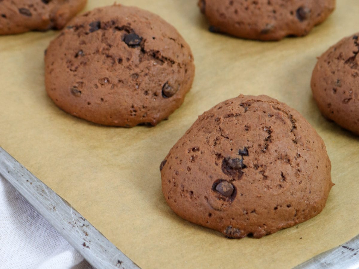 CBD pumpkin chocolate chip cookie recipe
