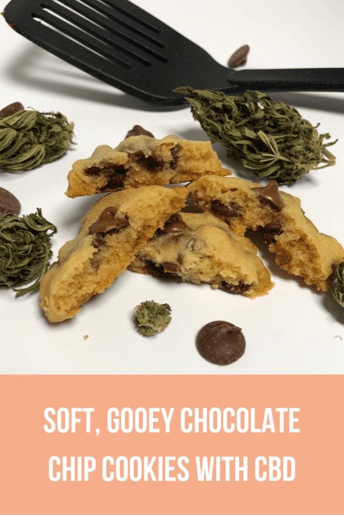 Simply Add CBD - Soft, Gooey Chocolate Chip Cookies with CBD